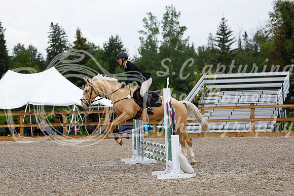 2025 - Haylee - Picco Horse Show - Sunday July 27th 00298