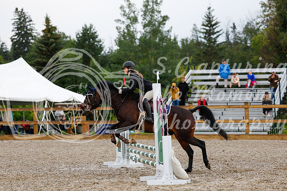 2025 - Haylee - Picco Horse Show - Sunday July 27th 00577