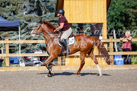 2025 - Haylee - Picco Horse Show - Thursday July 24th 00251