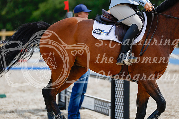 2025 - Haylee - Picco Horse Show - Friay July 25th 04606