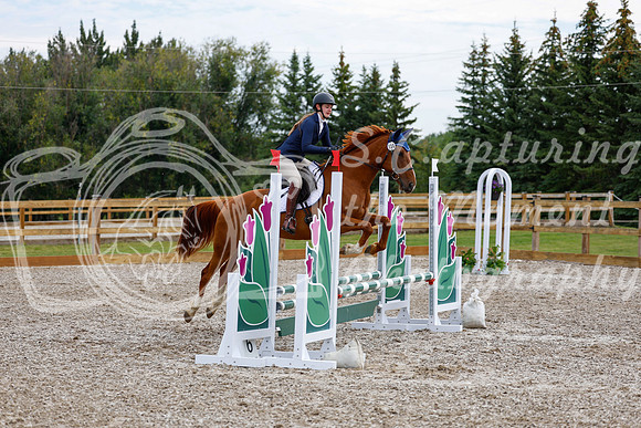 2025 - Haylee - Picco Horse Show - Saturday July 26th 01768