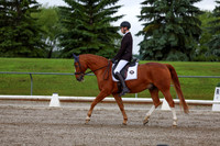 2025 - Dressage Festival - Sunday July 6th - 01322
