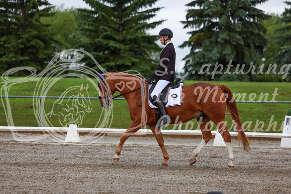 2025 - Dressage Festival - Sunday July 6th - 01322