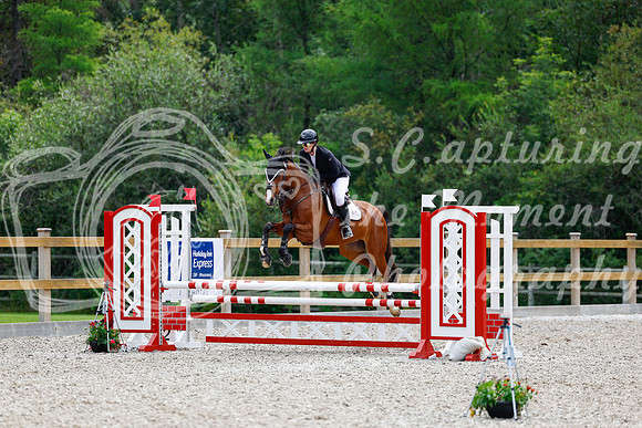 2025 - Haylee - Picco Horse Show - Sunday July 27th 03883