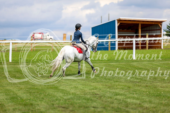 2025 - Shea - Teesdale - Friday July 25th - 06478