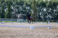 2025 - Dressage Festival - Saturday July 5th - 02322