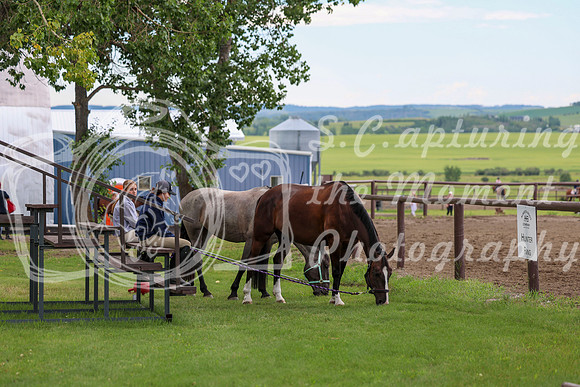 2025 - Shea - Teesdale - Thursday July 24th - 00004