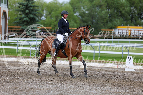 2025 - Dressage Festival - Sunday July 6th - 11701