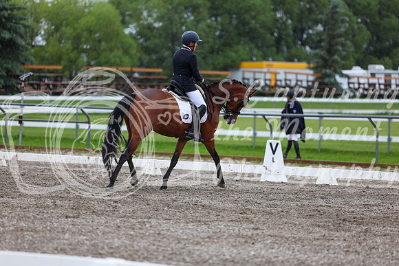 2025 - Dressage Festival - Sunday July 6th - 06693
