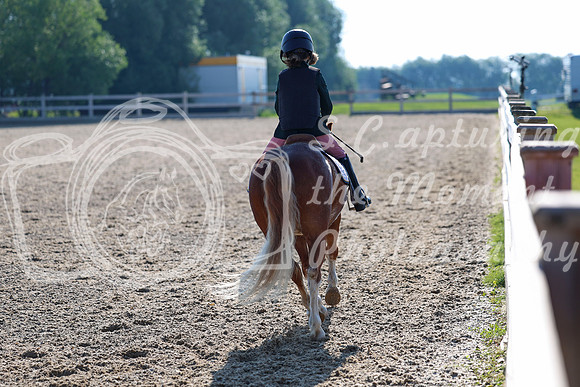 2025 - Dressage Festival - Saturday July 5th - 00022