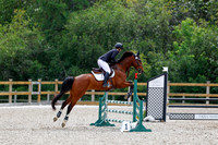 2025 - Haylee - Picco Horse Show - Sunday July 27th 03875