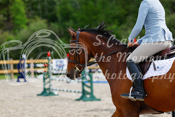 2025 - Haylee - Picco Horse Show - Friay July 25th 04615