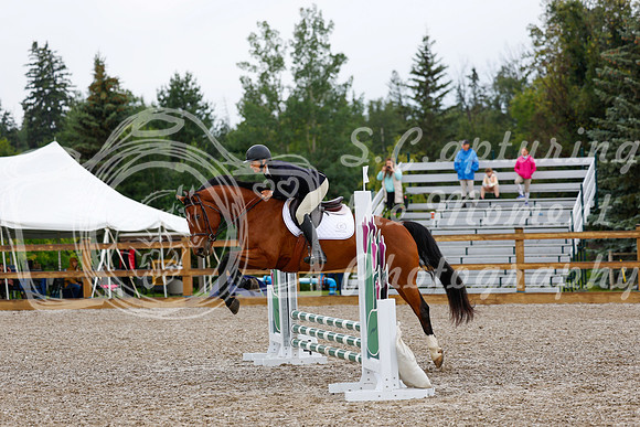 2025 - Haylee - Picco Horse Show - Sunday July 27th 00471