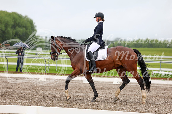2025 - Dressage Festival - Sunday July 6th - 04285