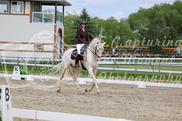 2025 - Dressage Festival - Saturday July 5th - 12151