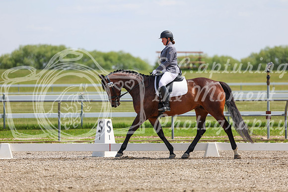 2025 - Dressage Festival - Saturday July 5th - 07045