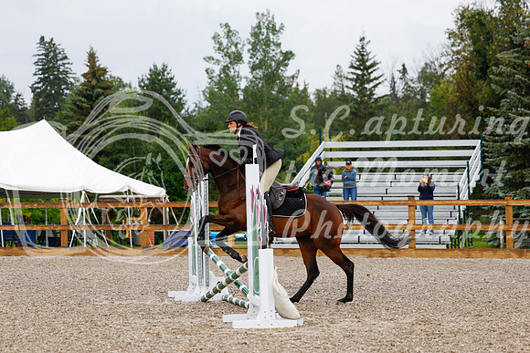 2025 - Haylee - Picco Horse Show - Sunday July 27th 00085