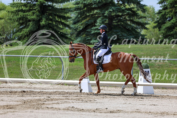 2025 - Dressage Festival - Saturday July 5th - 07988