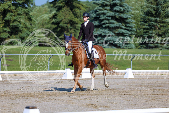 2025 - Dressage Festival - Saturday July 5th - 01699