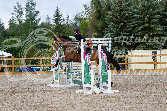 2025 - Haylee - Picco Horse Show - Sunday July 27th 02303