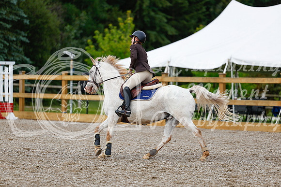 2025 - Haylee - Picco Horse Show - Friay July 25th 00941