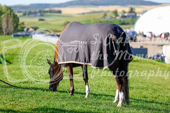 2025 - Haylee - Rocky Mountain Classic III - Thursday August 21st - 03106