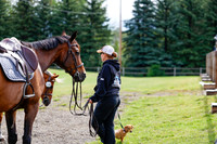 2025 - Haylee - Picco Horse Show - Friay July 25th 00753