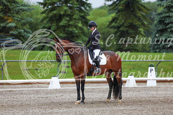 2025 - Dressage Festival - Sunday July 6th - 00834