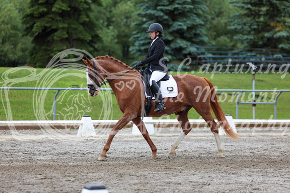 2025 - Dressage Festival - Sunday July 6th - 10407