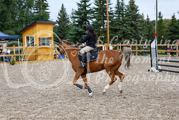 2025 - Haylee - Picco Horse Show - Saturday July 26th 02392