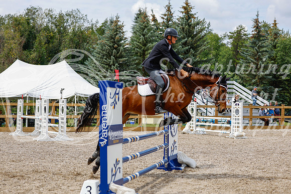 2025 - Haylee - Picco Horse Show - Saturday July 26th 06026