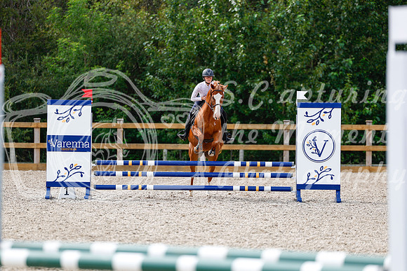 2025 - Haylee - Picco Horse Show - Thursday July 24th 01577