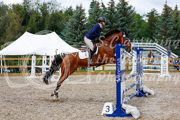 2025 - Haylee - Picco Horse Show - Saturday July 26th 06424