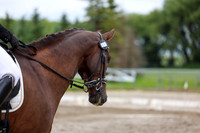 2025 - Dressage Festival - Sunday July 6th - 09559
