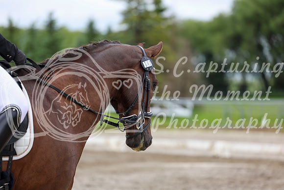 2025 - Dressage Festival - Sunday July 6th - 09559