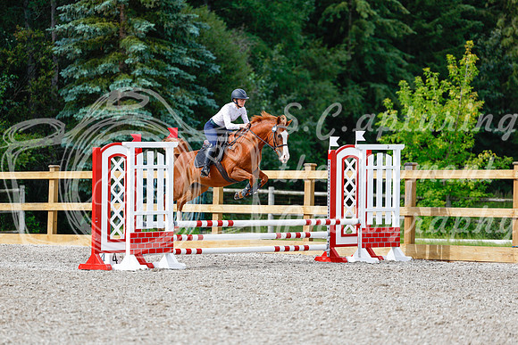 2025 - Haylee - Picco Horse Show - Friay July 25th 00900