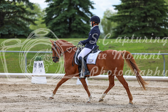 2025 - Dressage Festival - Saturday July 5th - 13791