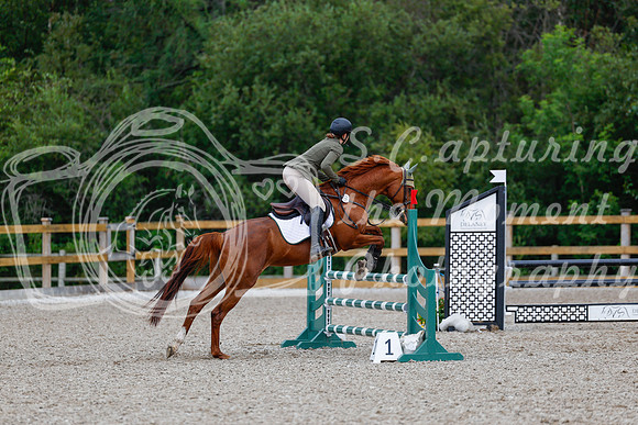 2025 - Haylee - Picco Horse Show - Sunday July 27th 03635