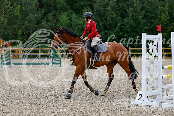 2025 - Haylee - Picco Horse Show - Thursday July 24th 02925