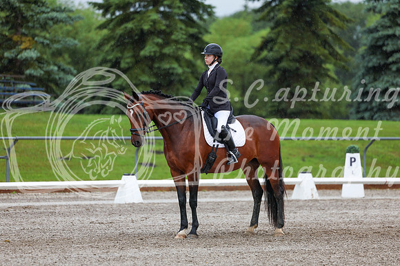 2025 - Dressage Festival - Sunday July 6th - 00838
