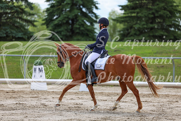 2025 - Dressage Festival - Saturday July 5th - 13790