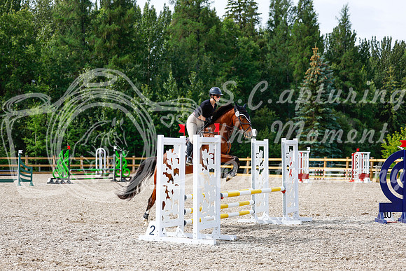 2025 - Haylee - Picco Horse Show - Thursday July 24th 01647