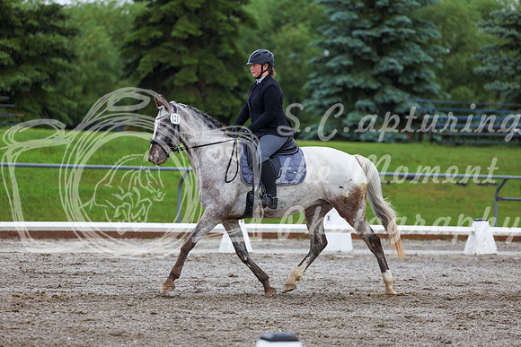 2025 - Dressage Festival - Sunday July 6th - 02129