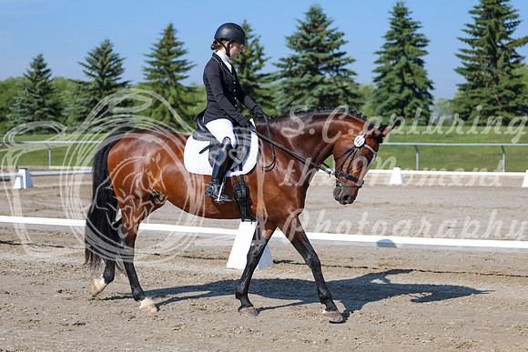 2025 - Dressage Festival - Saturday July 5th - 01251