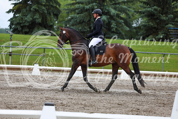 2025 - Dressage Festival - Sunday July 6th - 09054