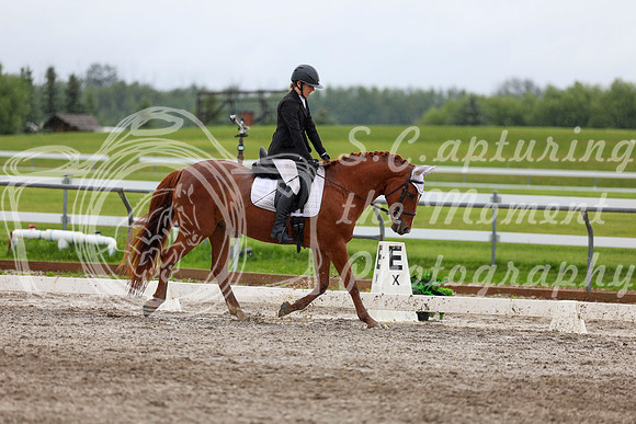 2025 - Dressage Festival - Sunday July 6th - 06162