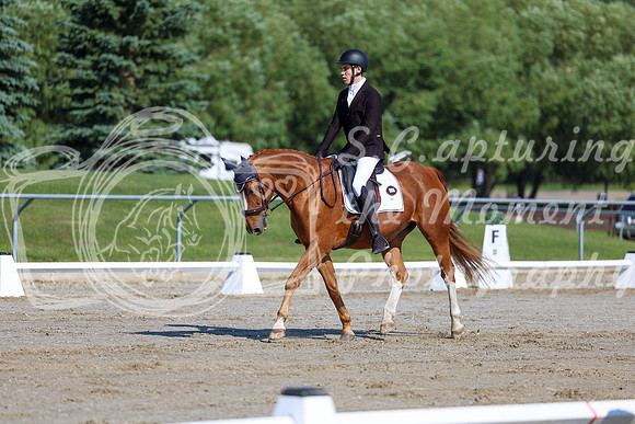 2025 - Dressage Festival - Saturday July 5th - 01653