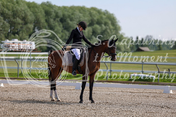 2025 - Dressage Festival - Saturday July 5th - 03104
