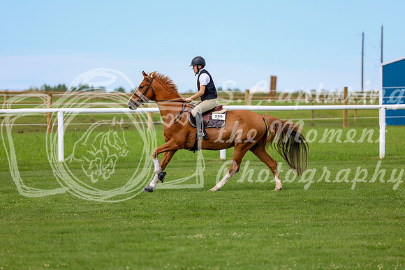 2025 - Shea - Teesdale - Thursday July 24th - 04259