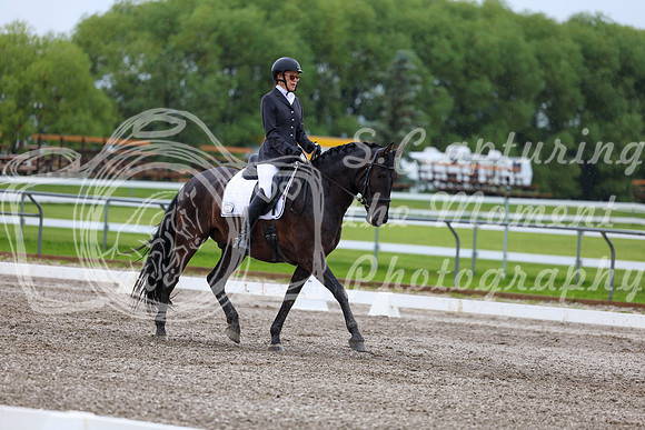 2025 - Dressage Festival - Sunday July 6th - 04527